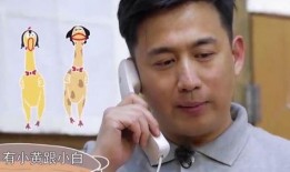 黄磊吃鸡爆料视频大全最新,揭秘明星厨房里的美食传奇